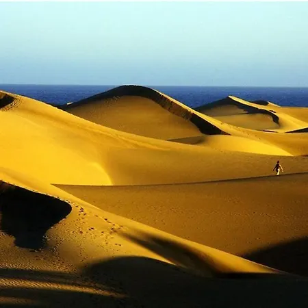 Sunshine 435 By Casas Cocodrilo Apartment Playa del Ingles (Gran Canaria)